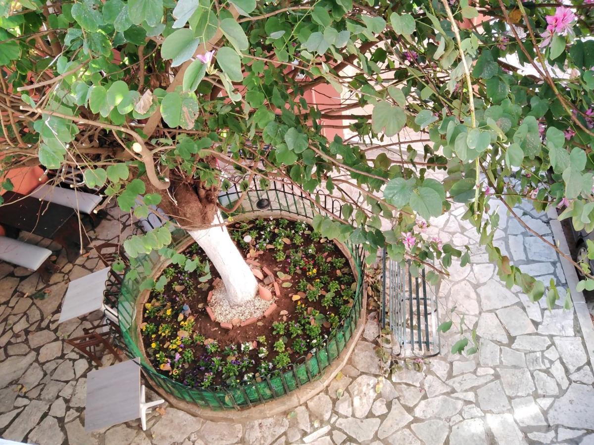 Lilliput Studio Corfu Old Town Corfu (city) Exterior foto