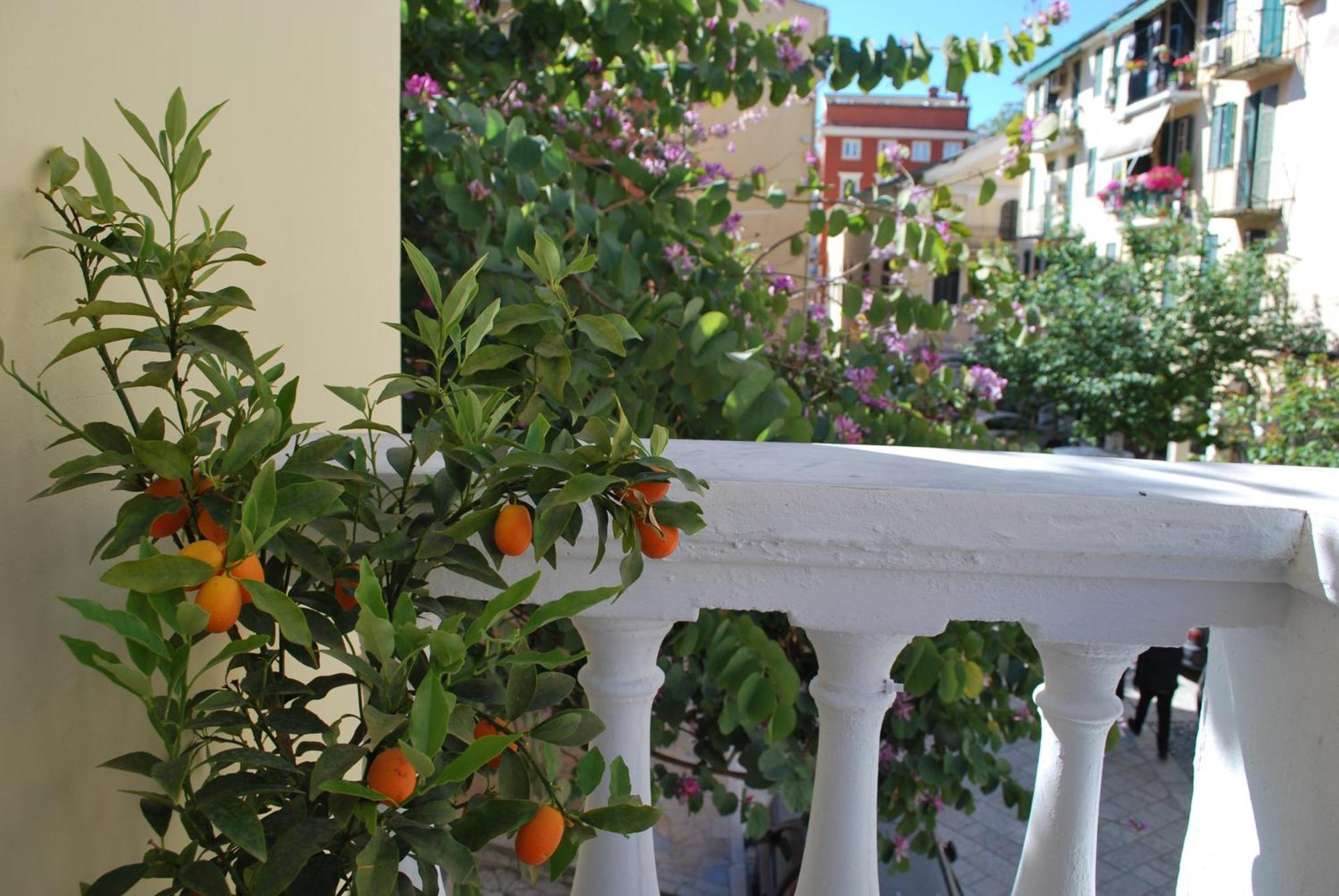 Lilliput Studio Corfu Old Town Corfu (city) Exterior foto